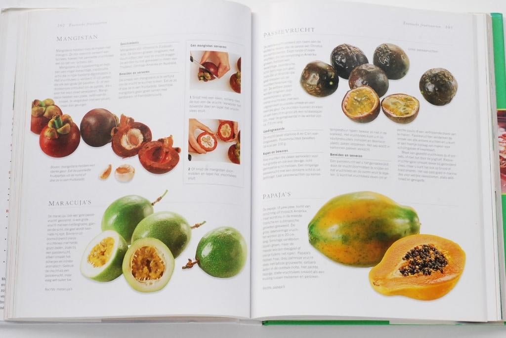 Alles over fruit en fruitgerechten (2002), Boeken, Verzenden, Zo goed als nieuw, Europa