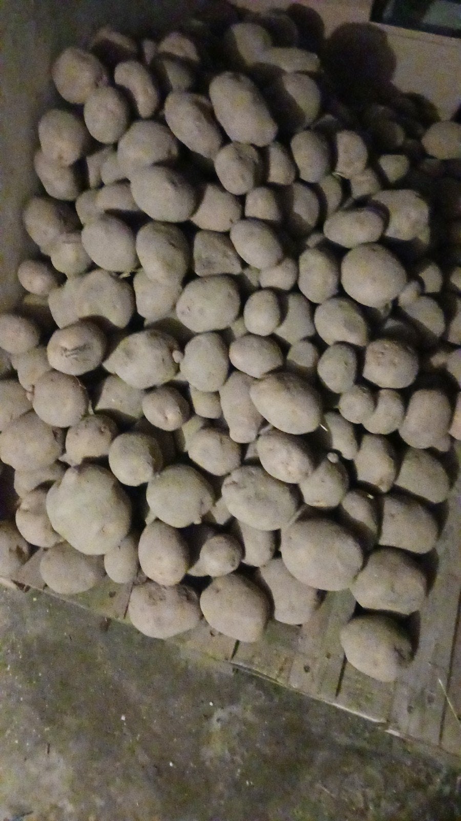 Verse aardappelen 10kg 5euro, Minder dan 3 m³, Ophalen