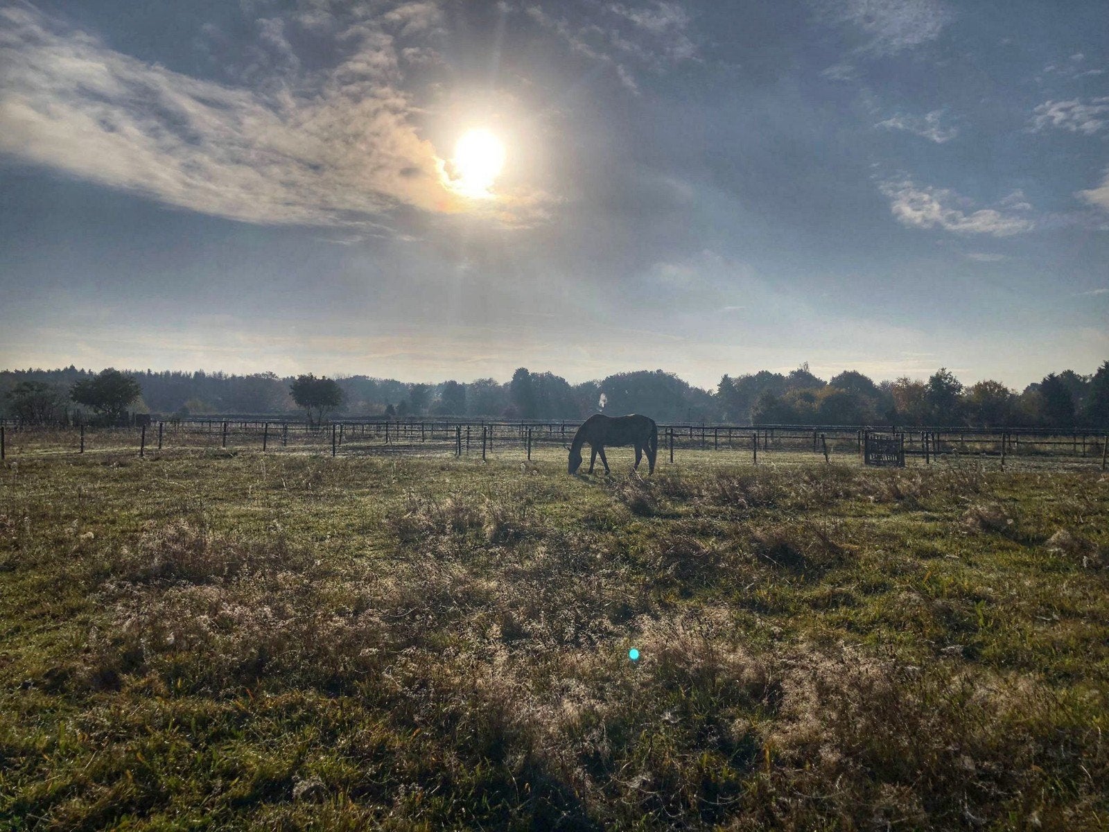 Plek vrij op ons paarden paradijs