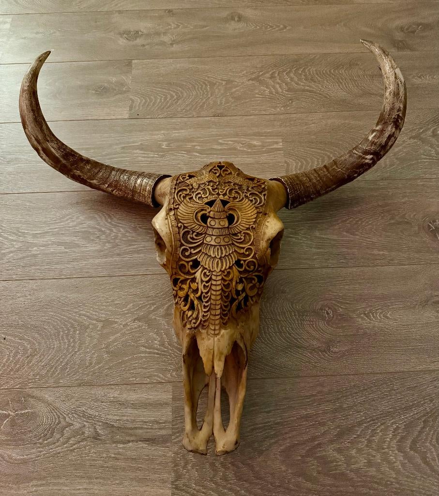 Longhorn Schedel met Hoorns – Western Skull Wanddecoratie, Huis en Inrichting, Woonaccessoires | Wanddecoraties, Zo goed als nieuw