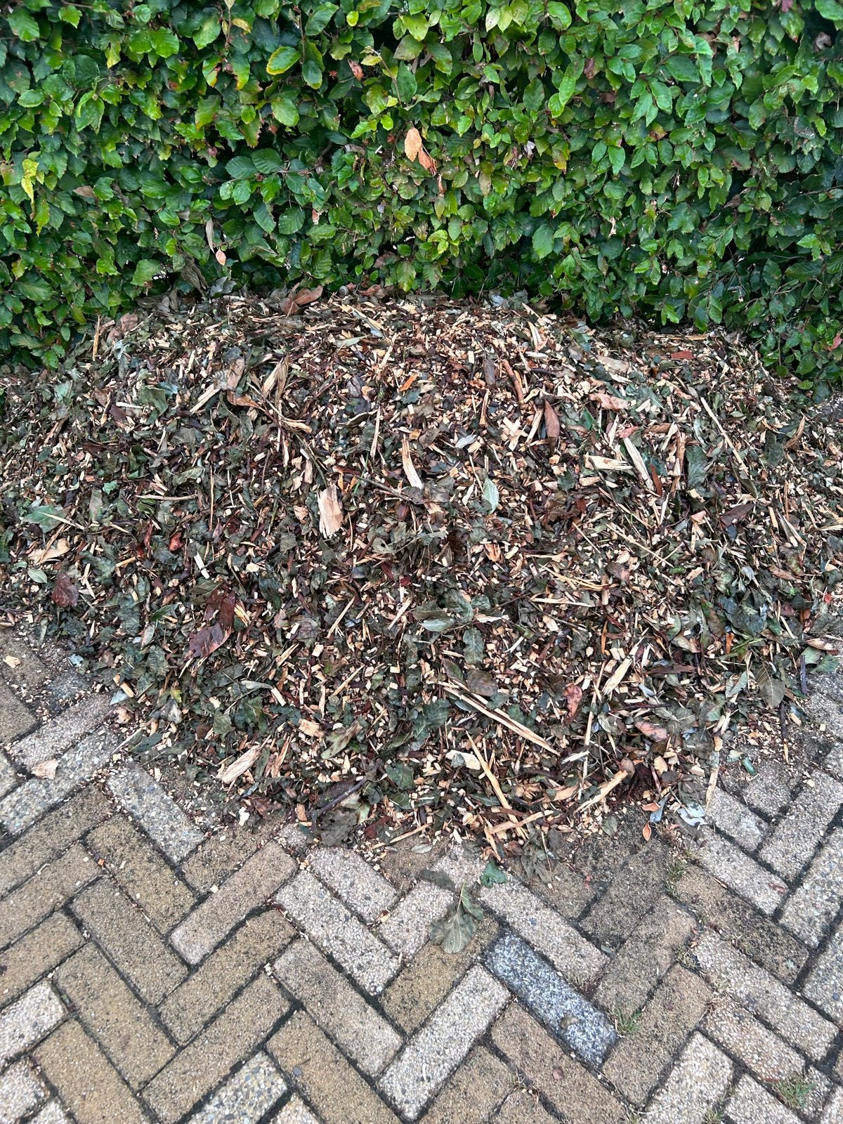 Gratis houtsnippers gratis ophalen / boomschors gratis, Ophalen, Gebruikt, Overige typen