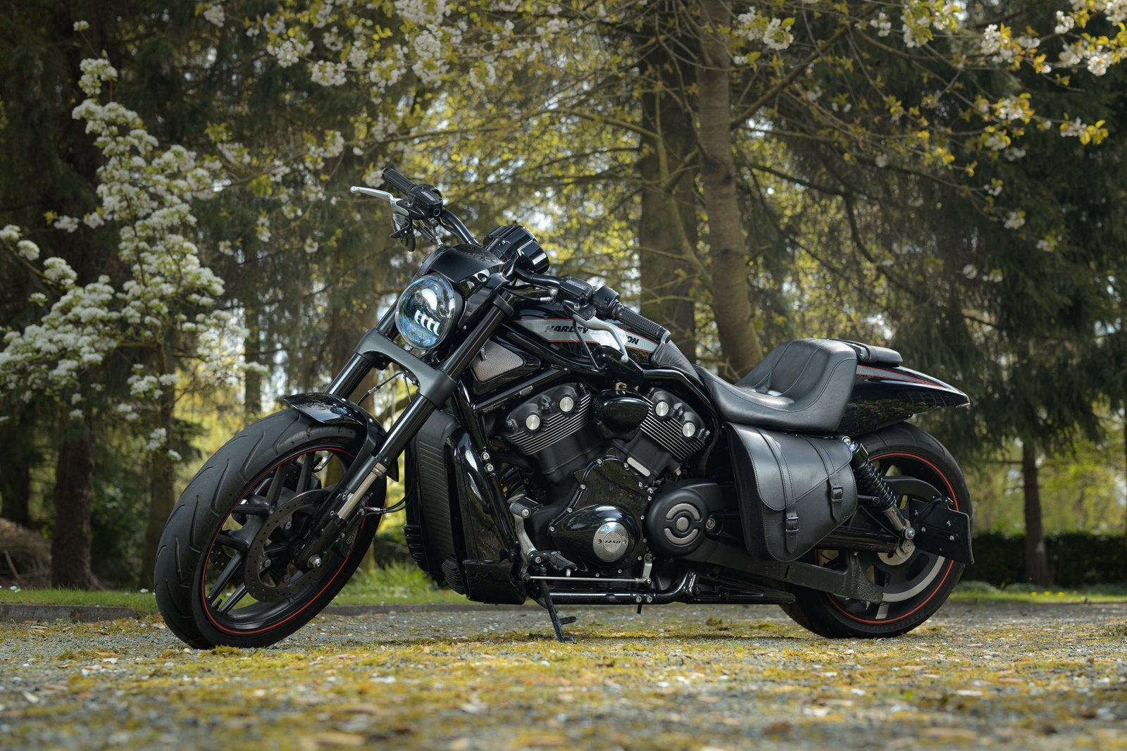 Harley-Davidson Night Rod Special | Lage km-stand | Topstaat, Motoren, Motoren | Harley-Davidson, Particulier, Overig