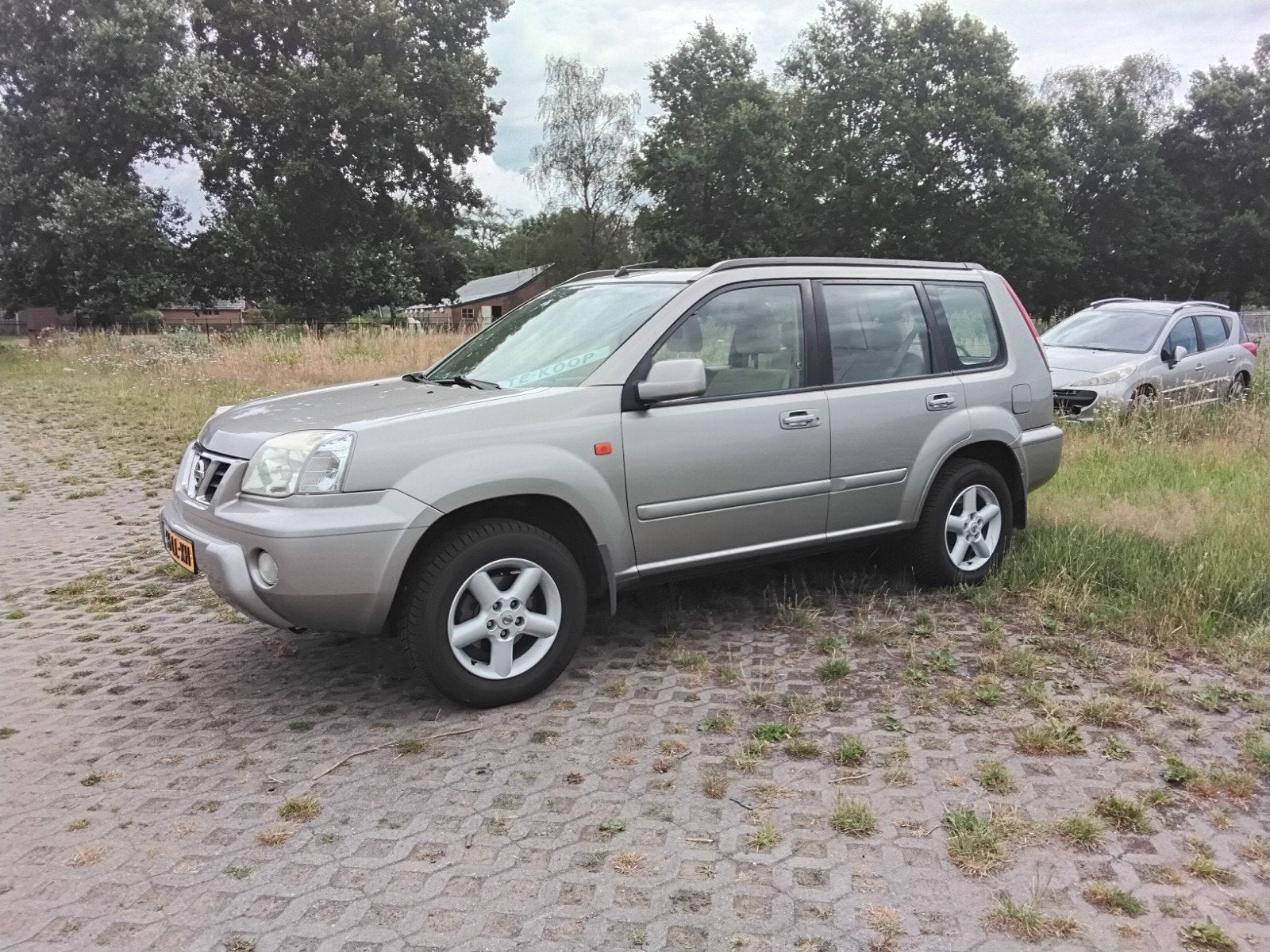 Nissan X-Trail 2.0 2003 Grijs, Auto's, Nissan, 4 cilinders, 75 €/maand, Handgeschakeld, Vierwielaandrijving