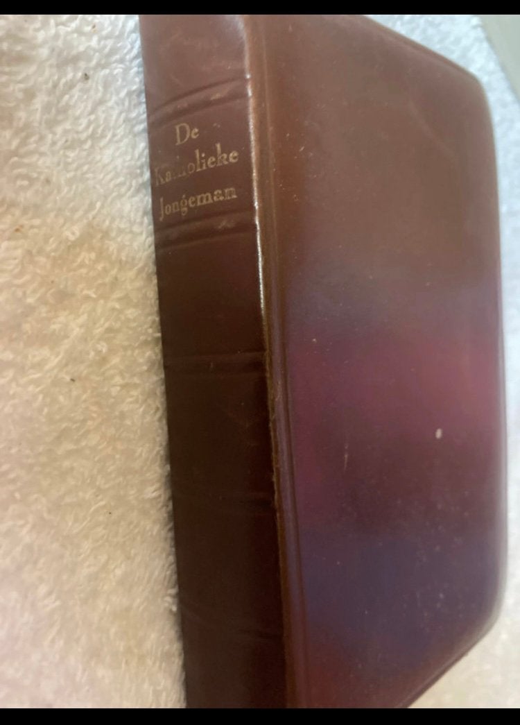 Antiek boek 1947 De katholieke jongeman in zijn opgang, Ophalen of Verzenden