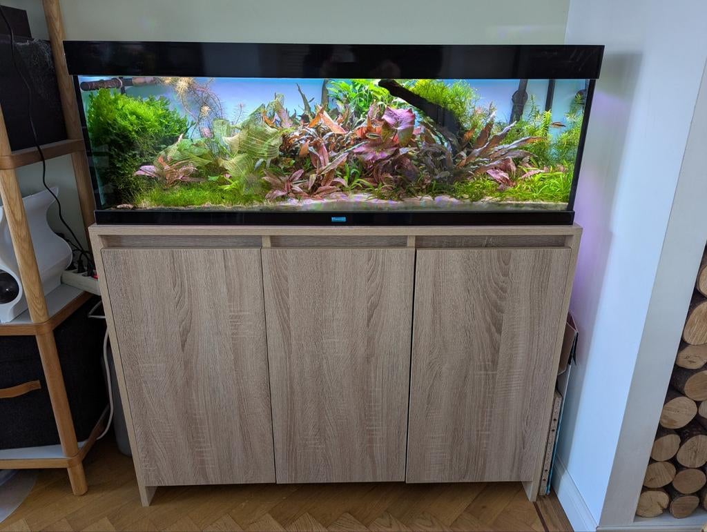 Ultieme aquascape met veel techniek, Dieren en Toebehoren, Vissen | Aquaria en Toebehoren, Ophalen, Zo goed als nieuw, Gevuld zoetwateraquarium