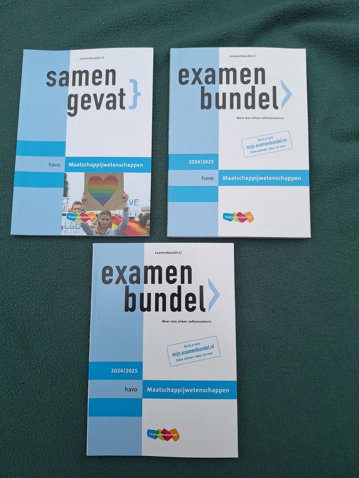 Samengevat Examenbundel Havo Maatschappijwetenschappen 2025, Boeken, Ophalen of Verzenden, Zo goed als nieuw, HAVO, Maatschappijleer