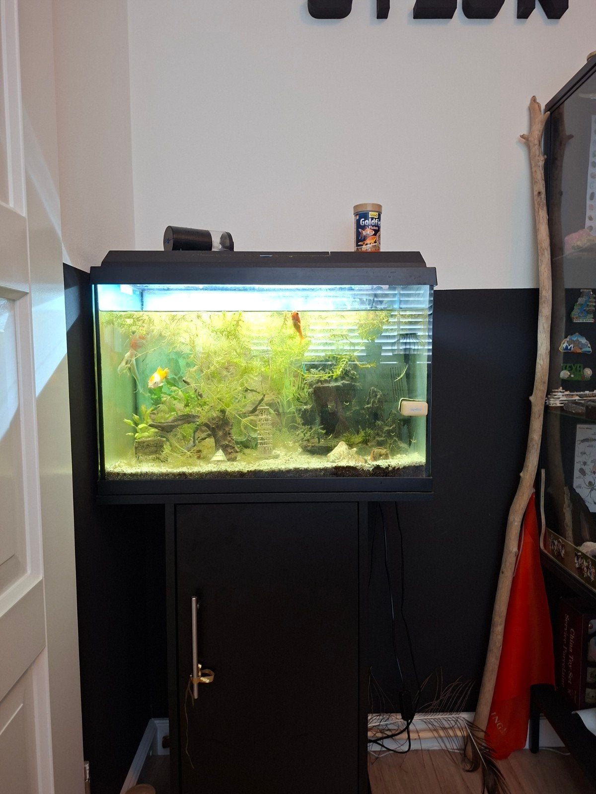 compleet aquarium, Dieren en Toebehoren, Vissen | Aquaria en Toebehoren, Ophalen, Zo goed als nieuw, Gevuld zoetwateraquarium