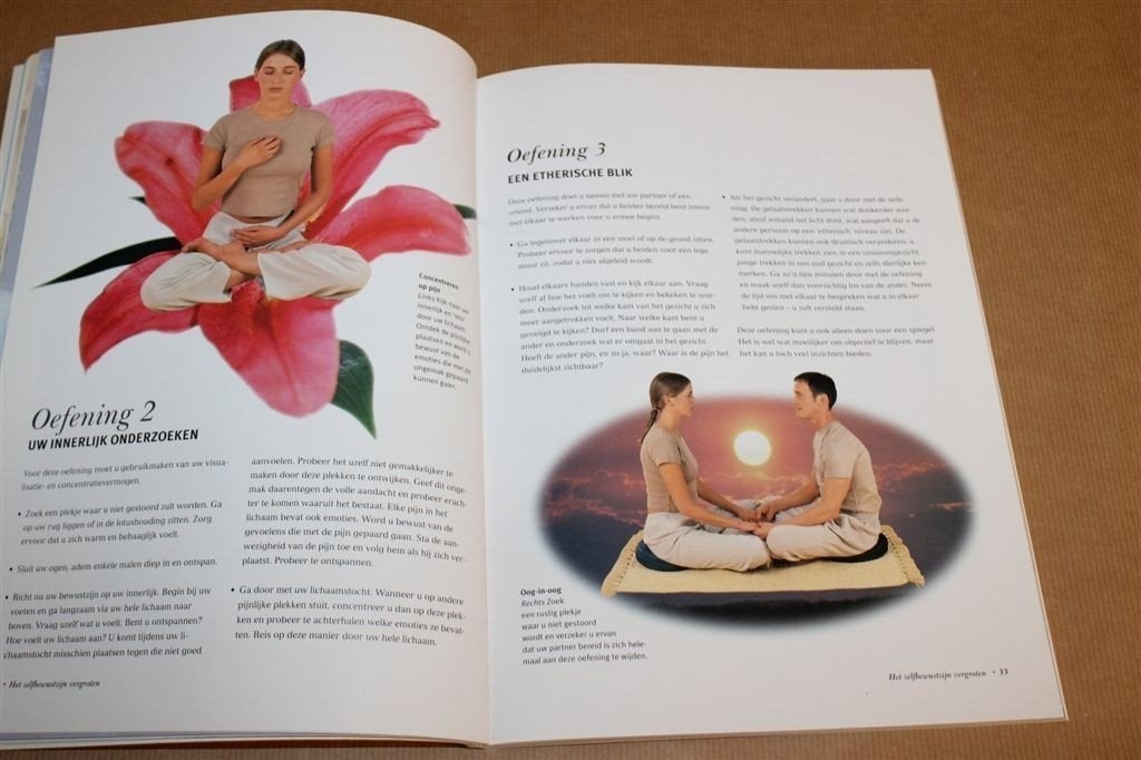 Reiki — Diepe Ontspanning & Innerlijke Rust, Verzenden, Gelezen, Overige onderwerpen, Achtergrond en Informatie