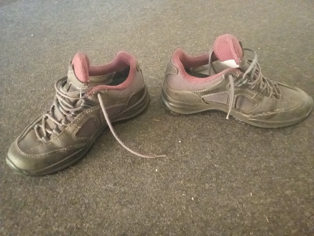 Wandelschoenen LOWA Lady maat 39,5, Ophalen of Verzenden, Gebruikt, Schoenen
