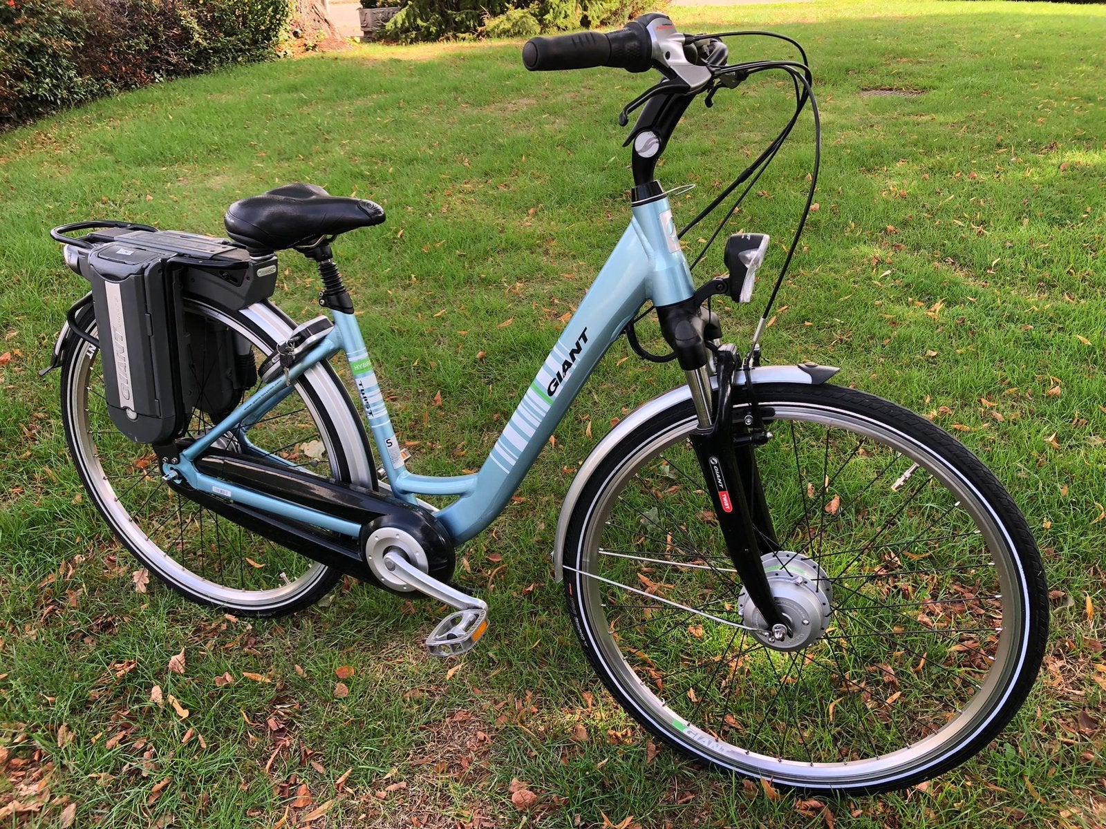 Giant elektrische fiets, Minder dan 47 cm, Ophalen, Zo goed als nieuw, Overige merken