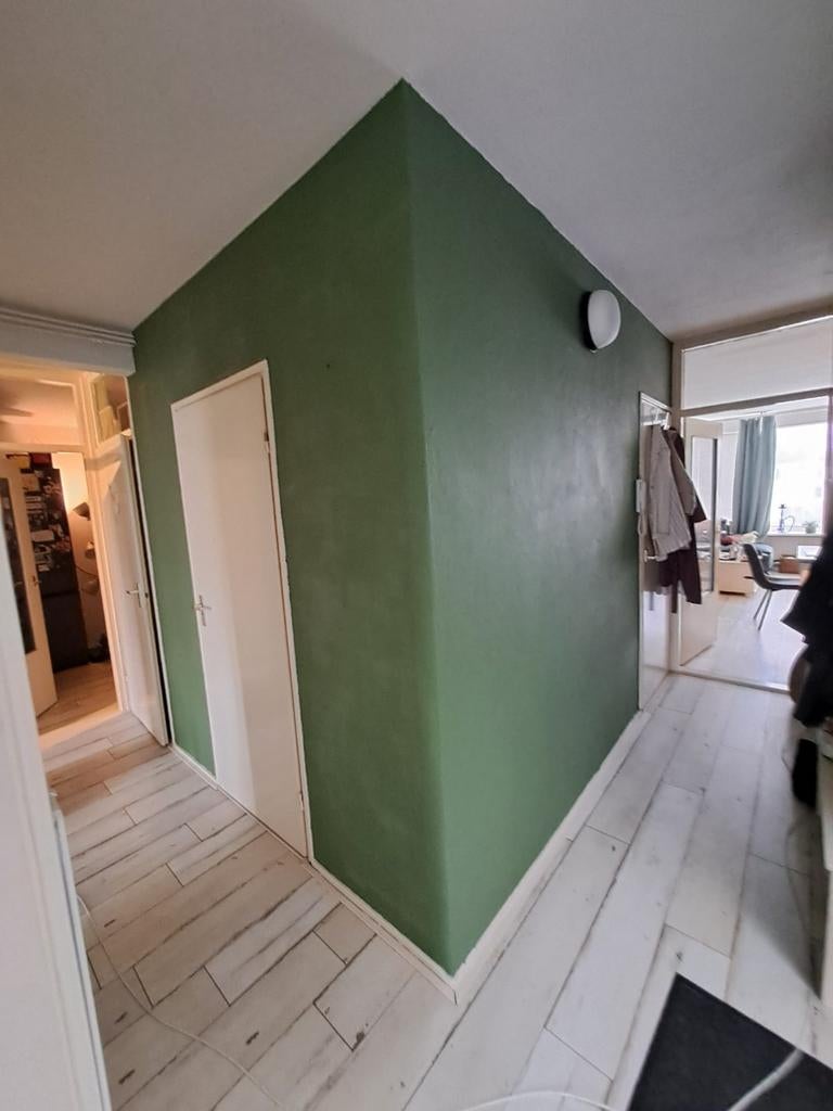 Groene Muurverf - Diverse Tinten en Merken, Verzenden, Groen, Verf