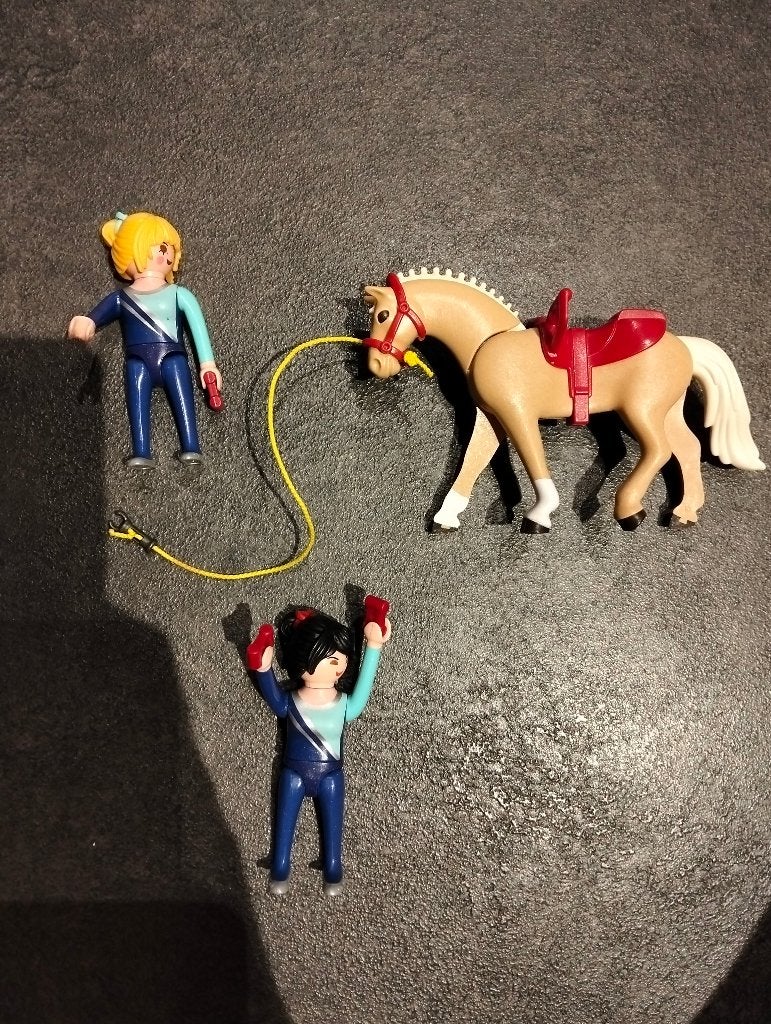 Playmobil dressuurpaardrijden, Ophalen of Verzenden