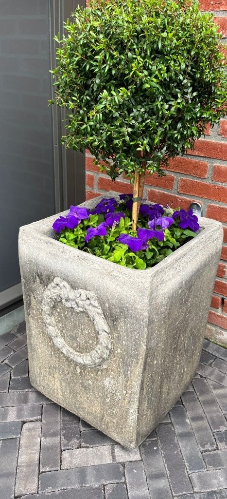 betonnen beelden, potten, bakken en manden voor je tuin, Tuin en Terras, Bloembakken en Plantenbakken, Nieuw, Beton, Binnen, Balkon