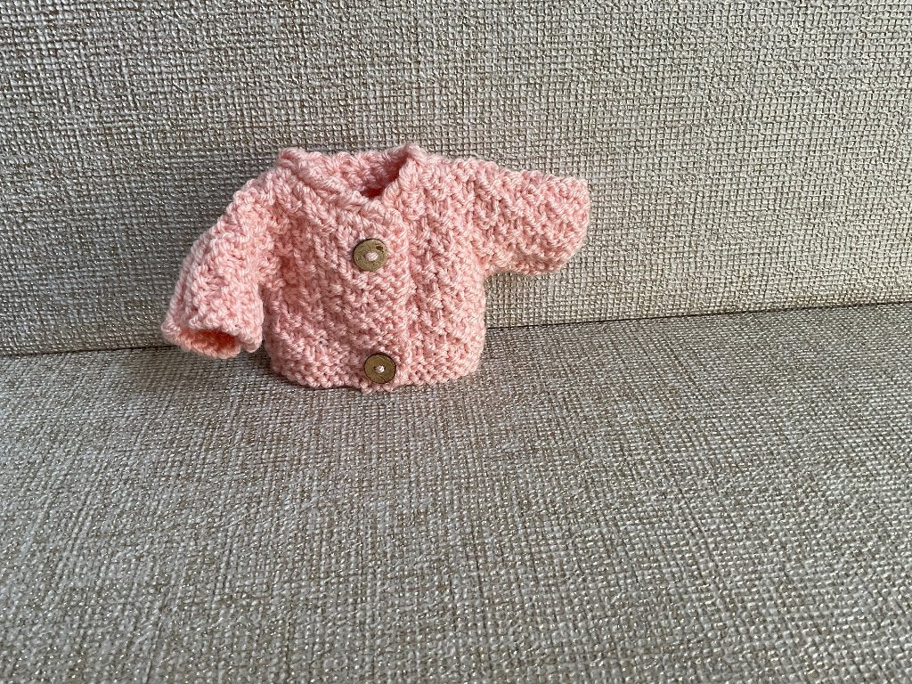 Super leuk vestje voor poppen of beren tot 25 cm groot, Verzenden, Nieuw, Overige typen