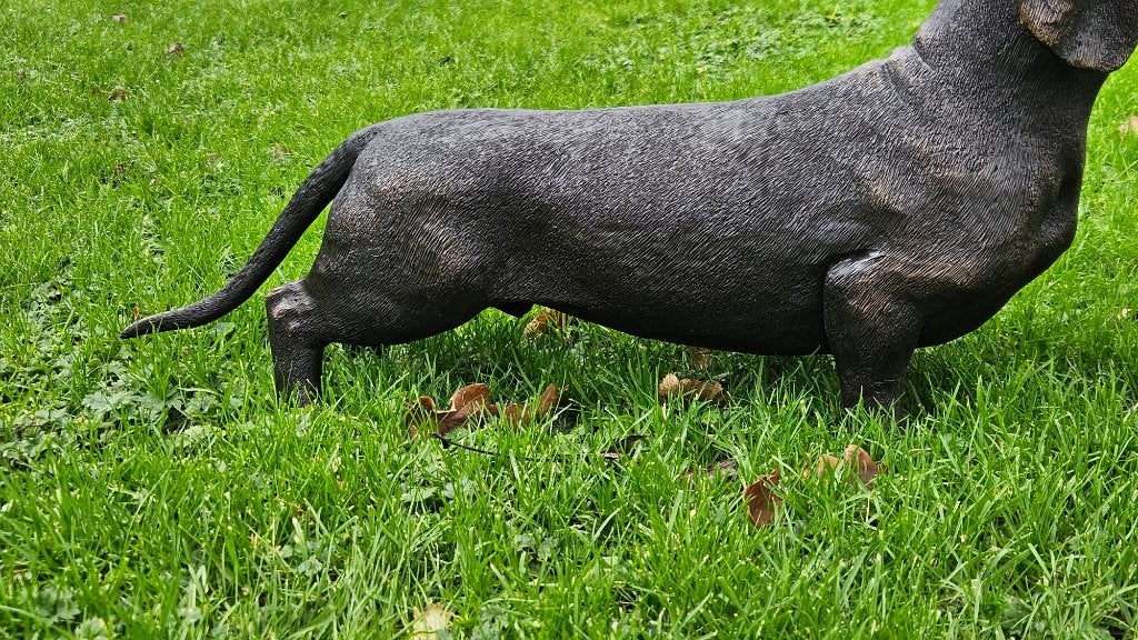 Bronzen beeld / TECKEL / 73 cm lang, Ophalen of Verzenden, Nieuw, Hond of Kat, Beeldje of Figuurtje