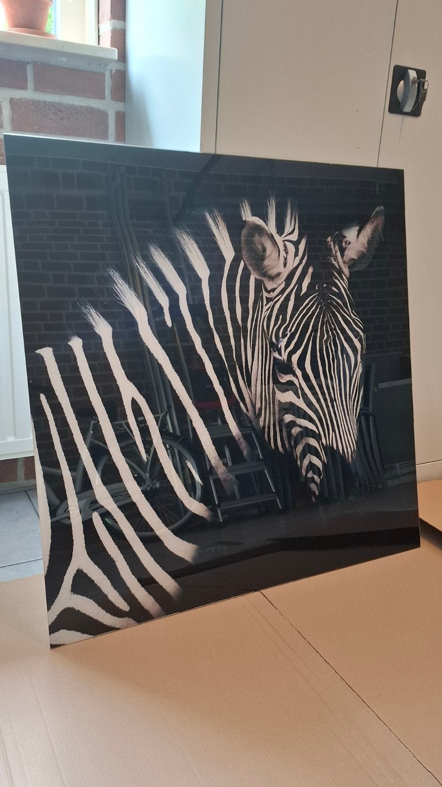 Countryfield plexi glas schilderij zebra zwart wit 80x80cm, Ophalen of Verzenden