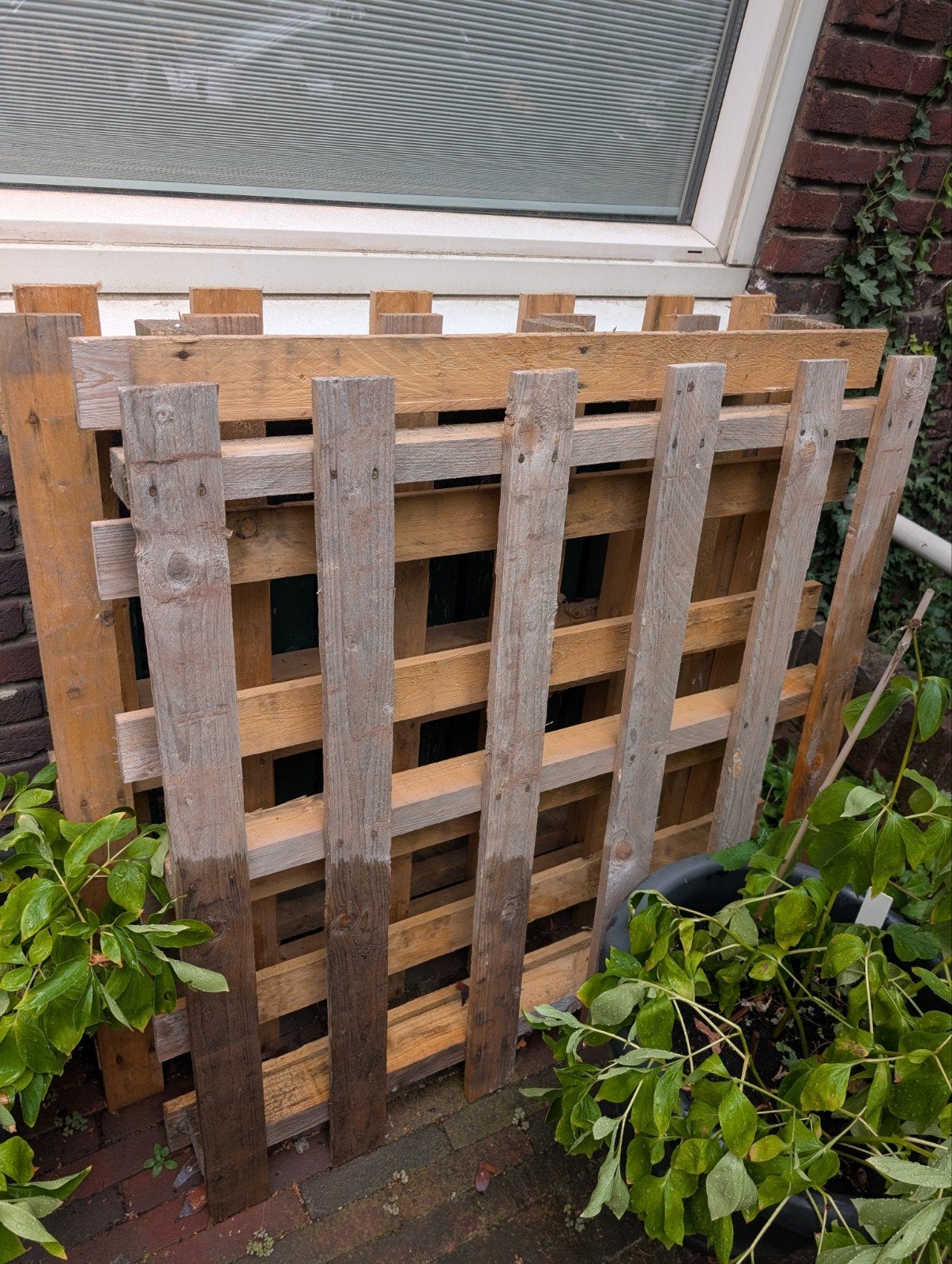 6x gratis pallets, Ophalen, Overige houtsoorten, Minder dan 200 cm, Pallet