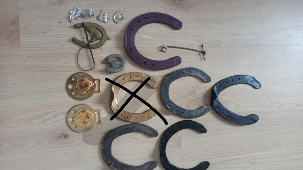 Hoefijzers, speldje, e.a, Ophalen of Verzenden, Overige soorten