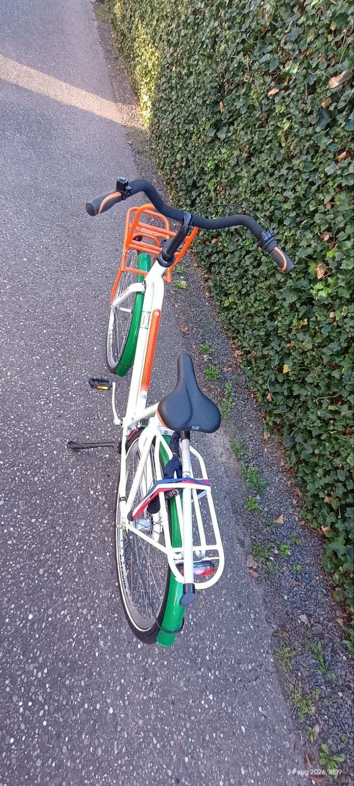 Transportfiets met voor- en achterdrager, 53 tot 56 cm, Velgrem, Versnellingen, Nieuw