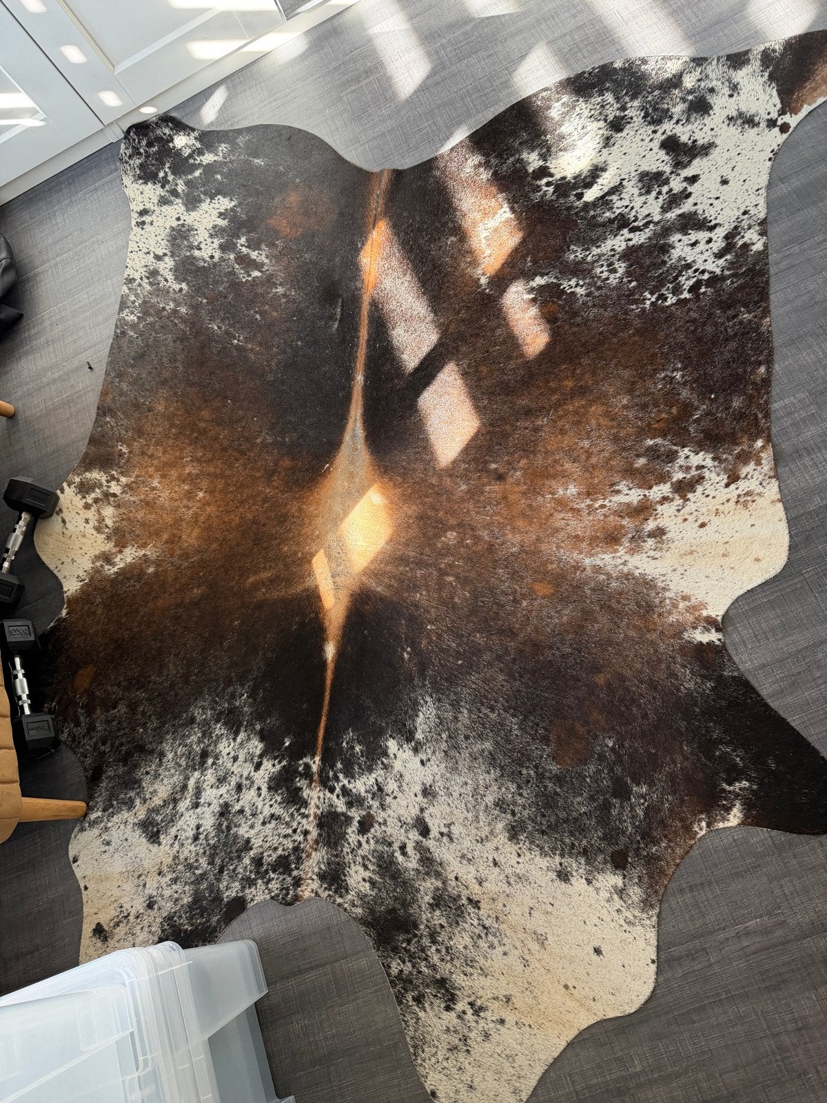 Prachtig koeienhuid vloerkleed - Bruin, wit en zwart, Ophalen, Gebruikt, Bruin, 150 tot 200 cm