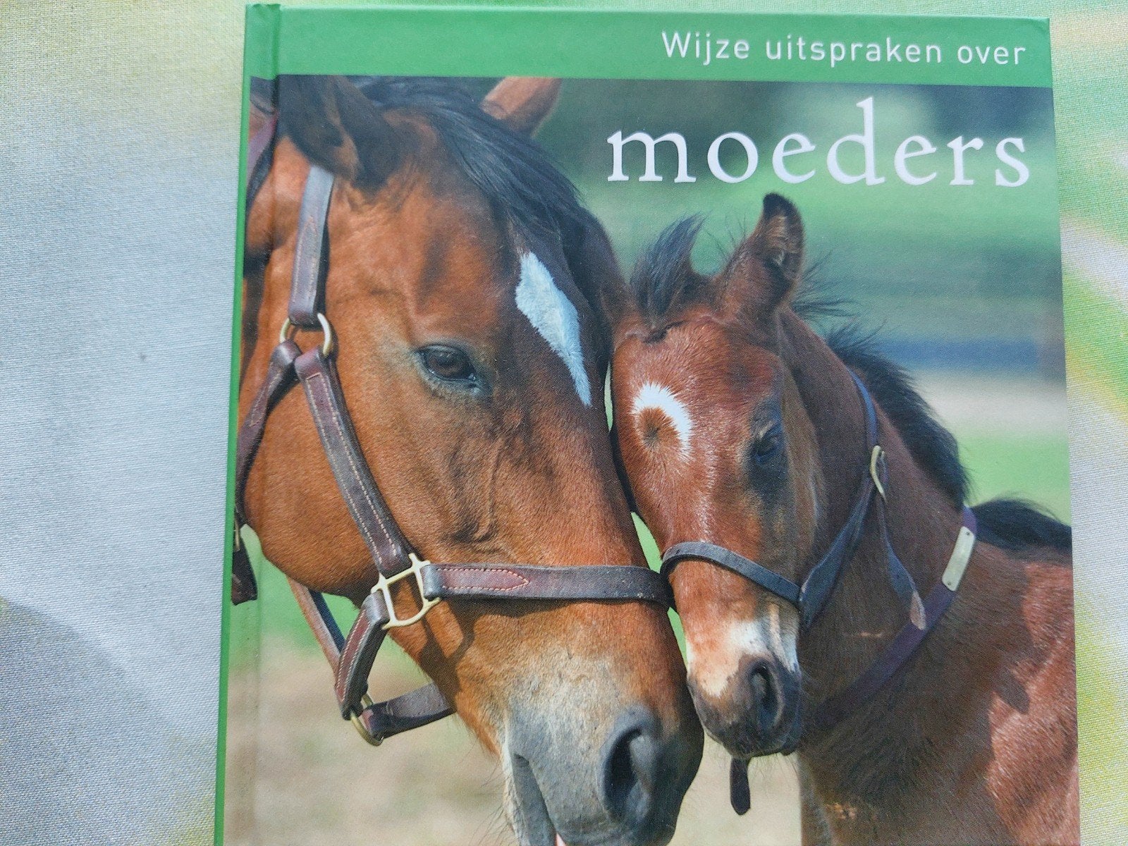 Wijze uitspraken over moeders - Verba, Boeken, Ophalen of Verzenden, Zo goed als nieuw, Overige onderwerpen, Onbekend
