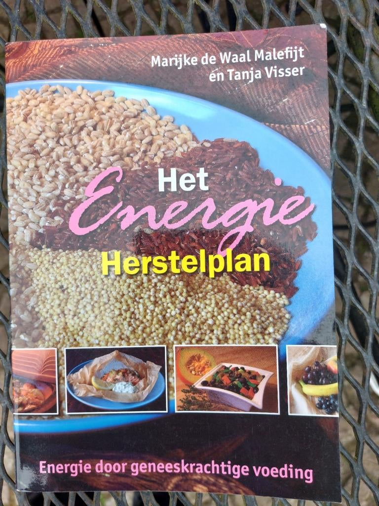 T. Visser - Het Energie Herstelplan, Ophalen of Verzenden, Zo goed als nieuw, T. Visser; M. de Waal