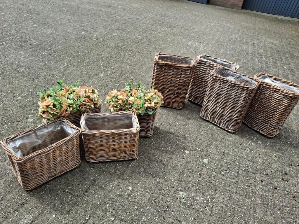Rotan bloembakken, Ophalen, Gebruikt, Rechthoekig, Riet