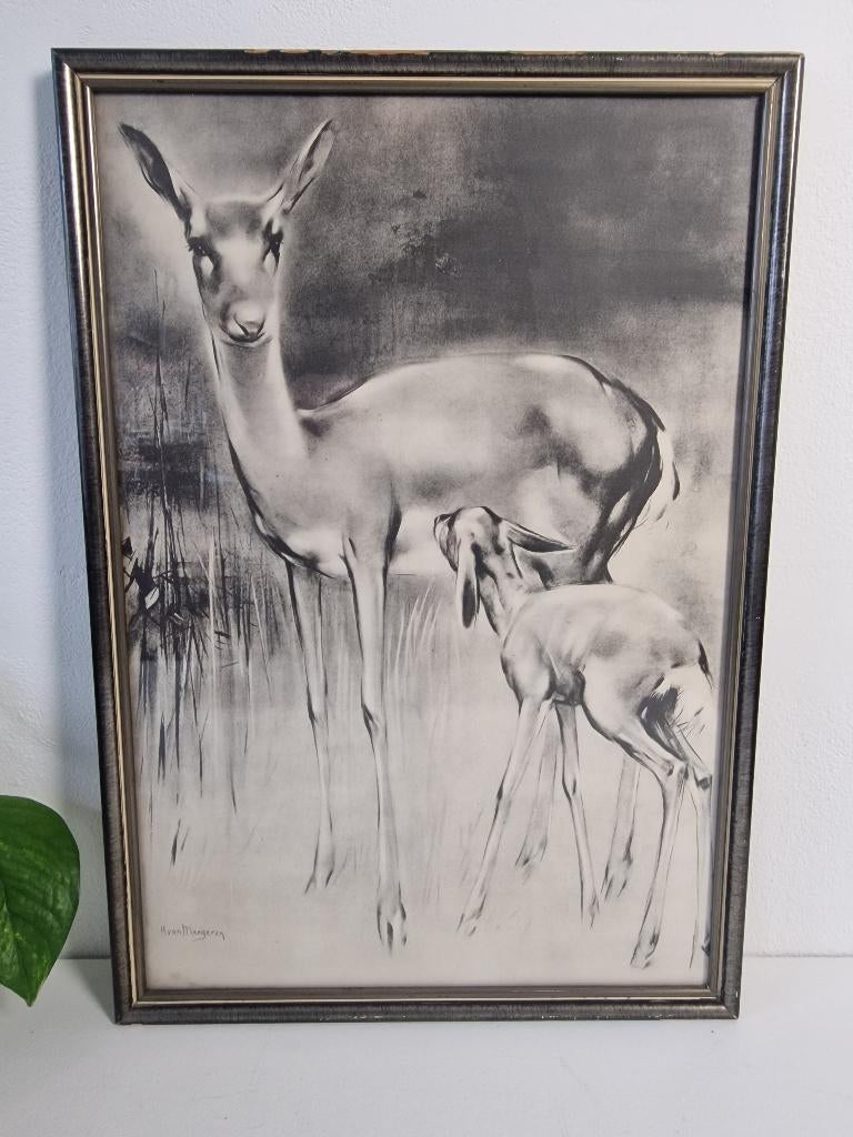 Vintage afbeelding "Hertje" - Han van Meegeren - Jaren 70, Ophalen of Verzenden