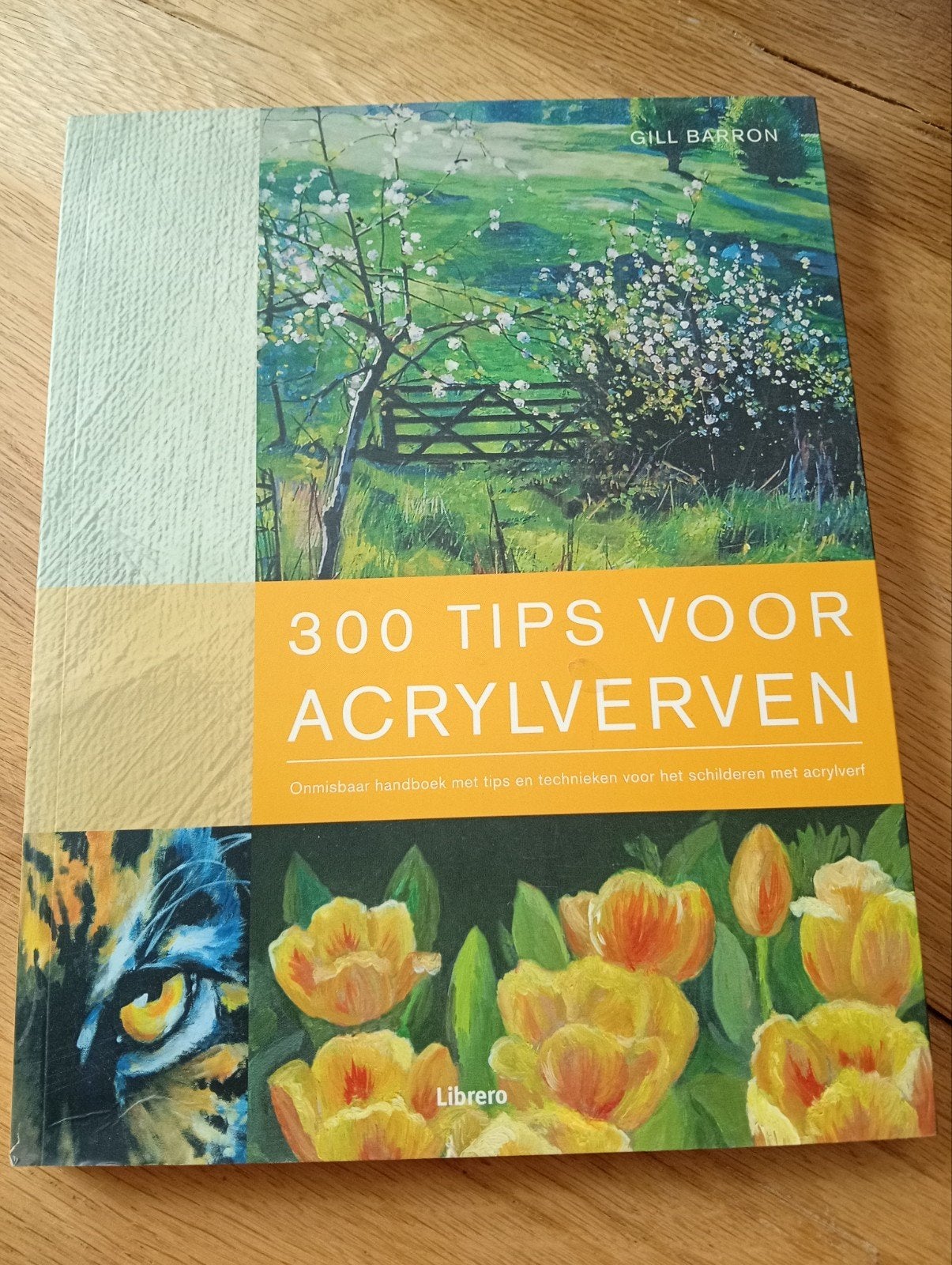 Boek: 300 Tips voor Acrylverven - Gill Barron, Ophalen of Verzenden