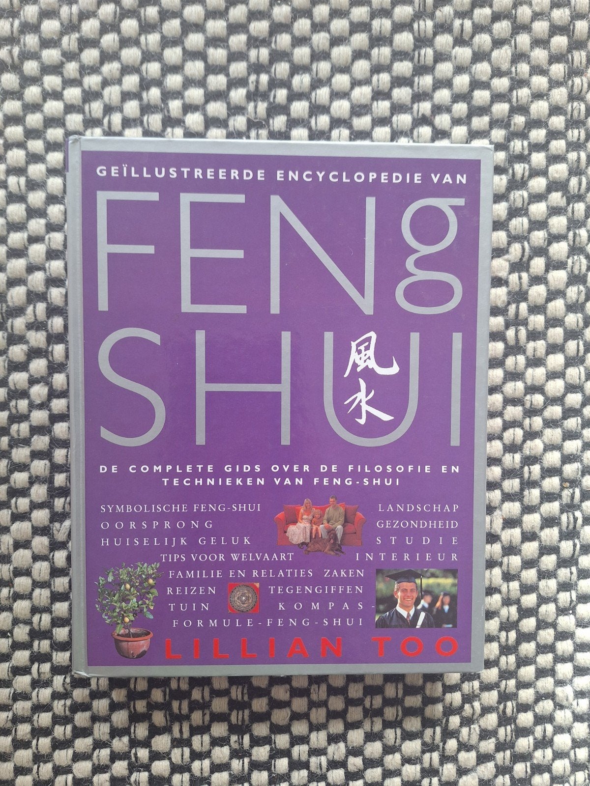 Feng shui geïllustreerde encyclopedie, Ophalen of Verzenden, Gelezen, Interieur en Design