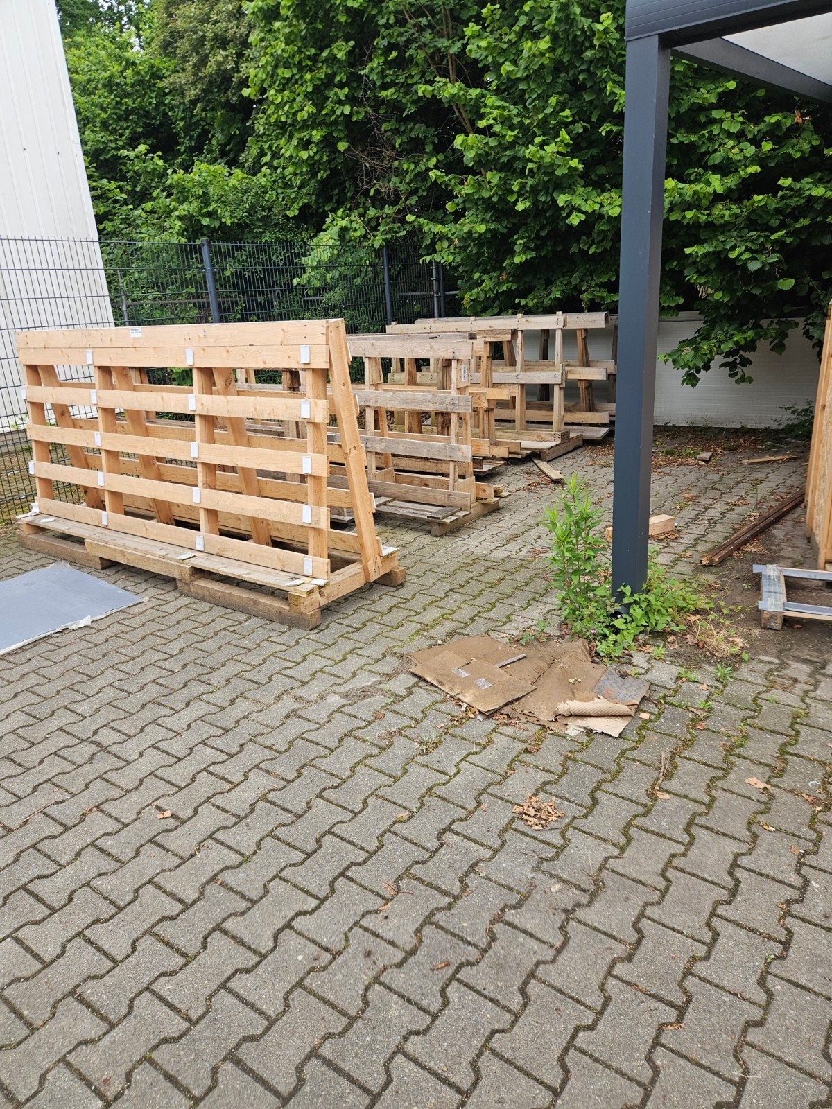 Brandhout, Tuin en Terras, Haardhout, Ophalen of Verzenden