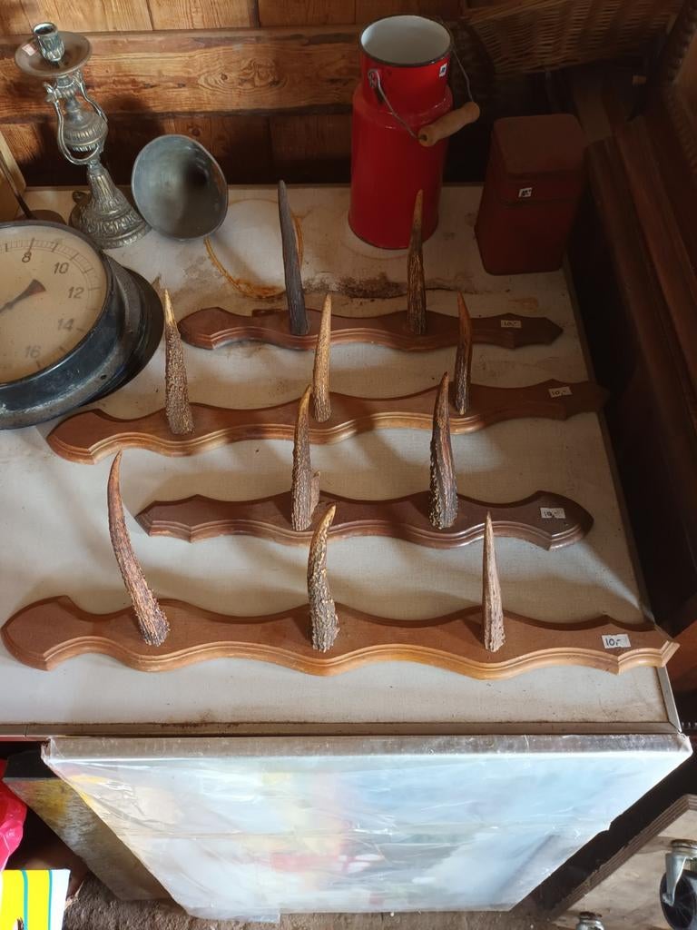 Rustieke Wandkapstokjes met Houten Plank en Hoorns setprijs, Wandkapstok, Gebruikt, Onbekend, Ophalen of Verzenden