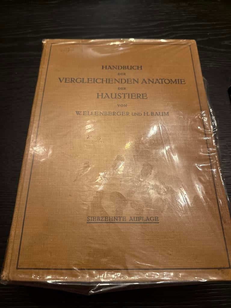 Handbuch Vergleichende Anatomie Haustiere, Ophalen of Verzenden, Gelezen, Overige onderwerpen