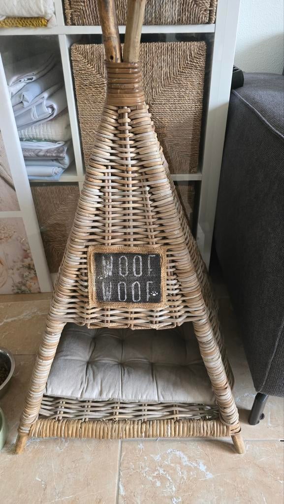 Kat/hond tippy tent riet, Ophalen, Riet