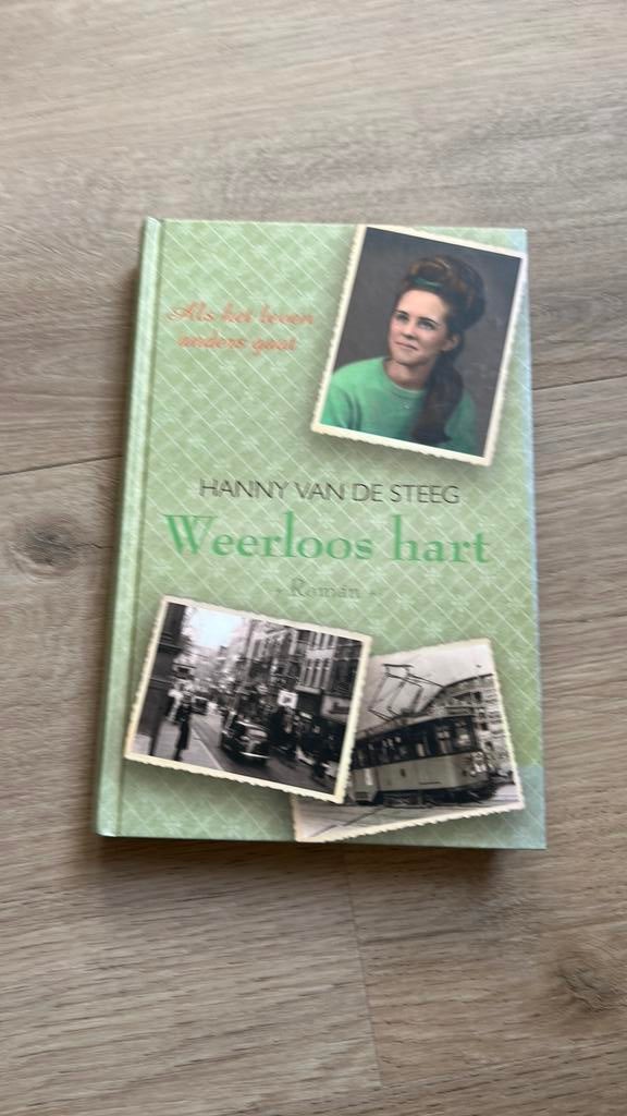 Hanny van de Steeg-Stolk - Weerloos hart, Boeken, Streekboeken en Streekromans, Zo goed als nieuw, Noord-Brabant, Ophalen of Verzenden
