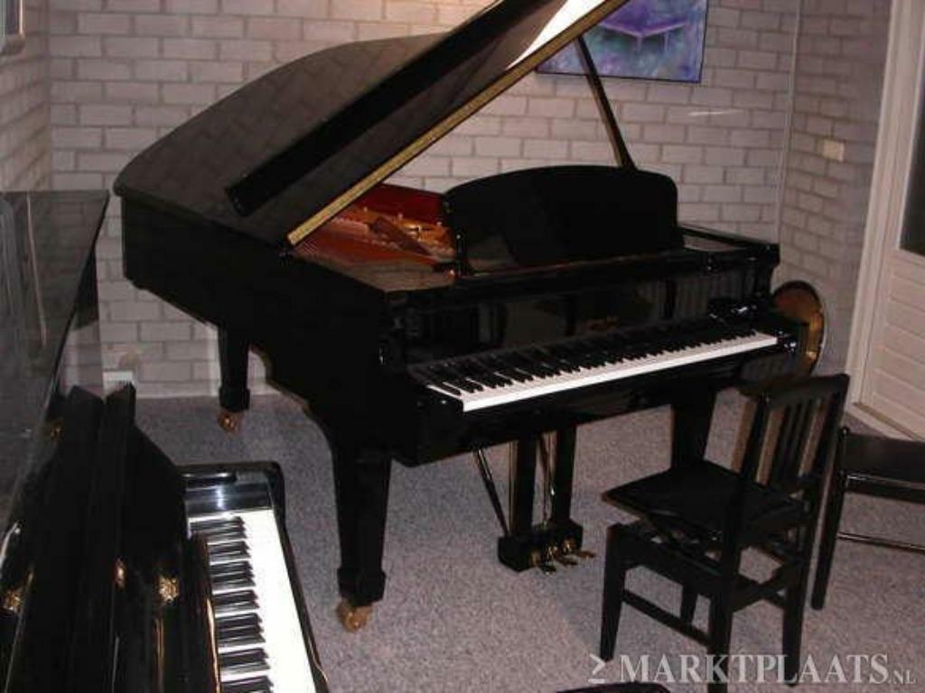 Pianoles Eindhoven/Margo van den Broek, Privéles, Toetsinstrumenten