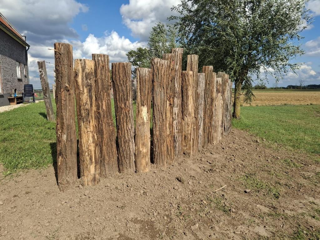 Robinia hardhouten  palen  schaduwpalen  border hoekpalen, Ophalen, Nieuw, Hout
