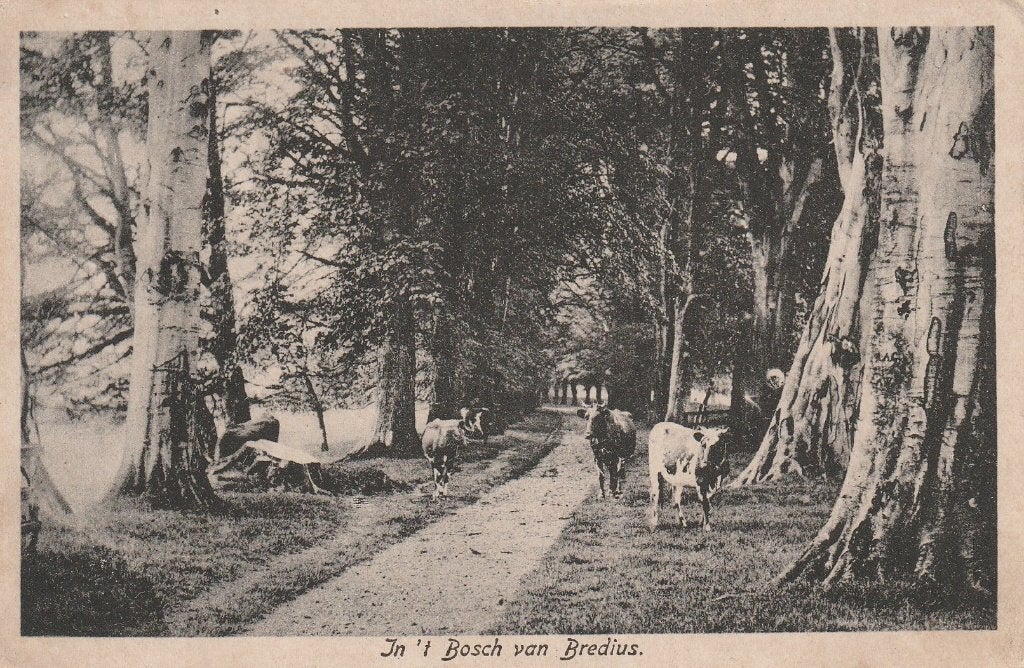 Naarden     Bosch van Bredius, Ophalen of Verzenden, 1920 tot 1940, Gelopen, Noord-Holland