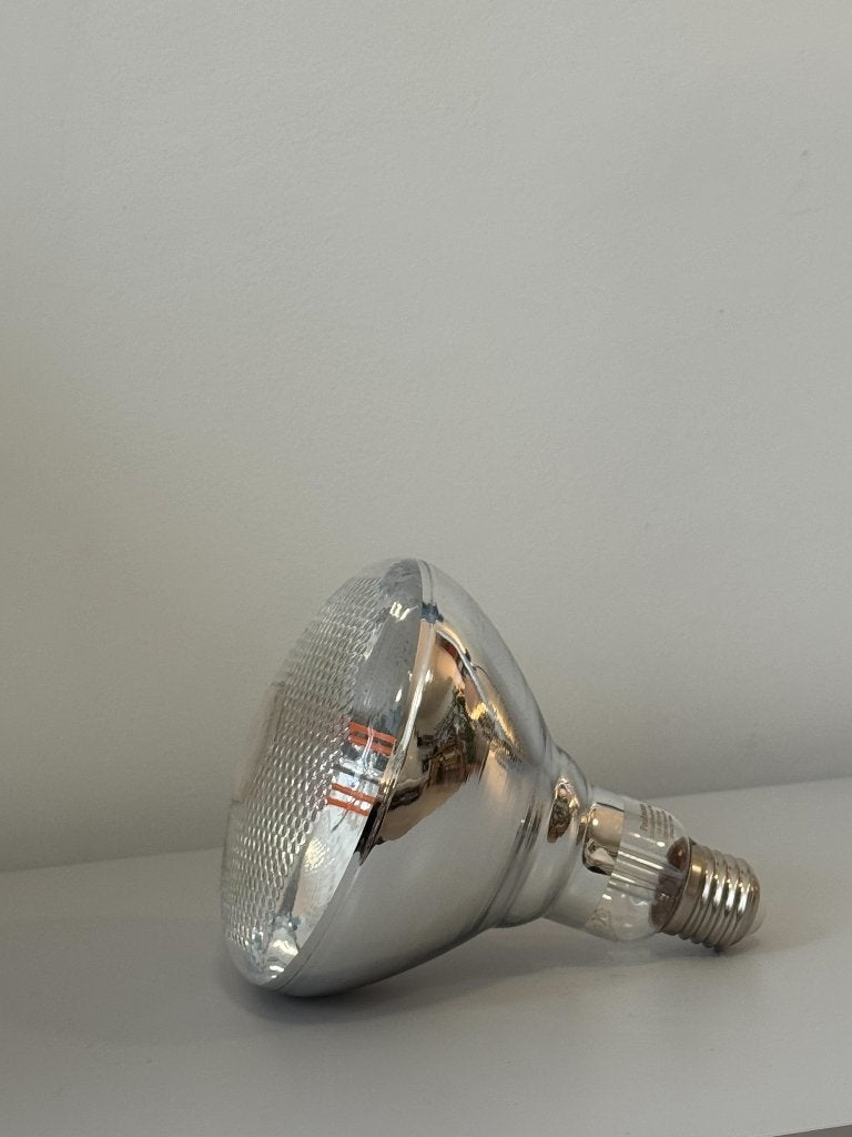 Paulmann LED grow light voor huis planten, Led-lamp, Paulmann, Zo goed als nieuw, E27 (groot)