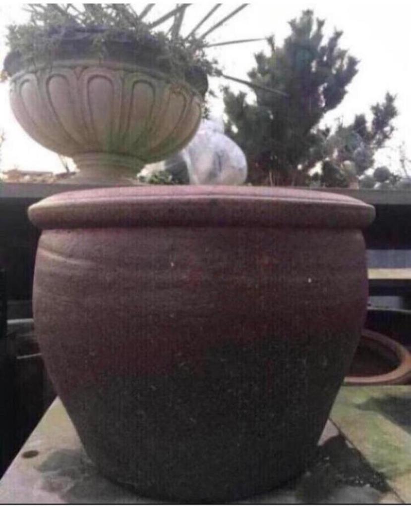 Grote stevige oud Hollandse kwaliteit terracotta bloempotten, 25 tot 40 cm, Rond, Ophalen of Verzenden, Zo goed als nieuw