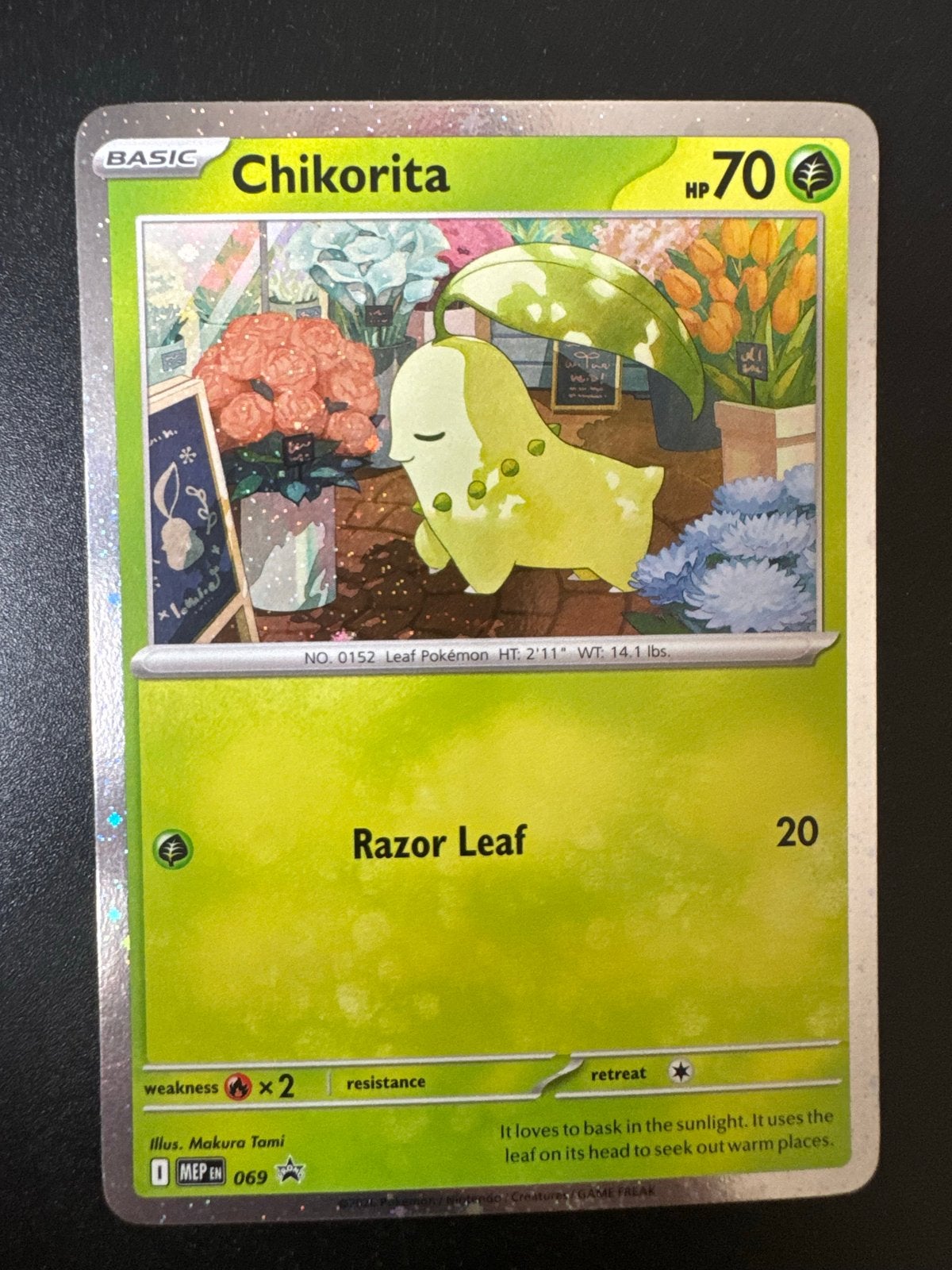 Chikorita Pokémon Kaart - MEP 069 - Zo goed als nieuw, Ophalen of Verzenden, Zo goed als nieuw, Losse kaart