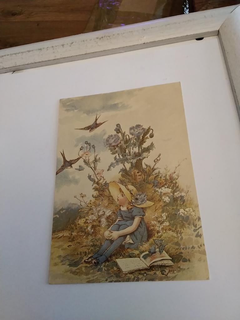 MEISJE. MET. BOEK. BIJ VOGELS, Ophalen of Verzenden, Voor 1920, Kinderen