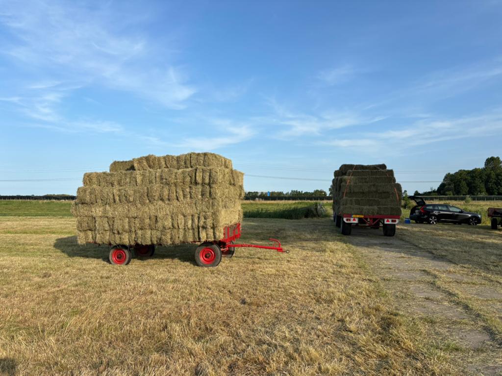 Verse Hooi balen 25kg, Dieren en Toebehoren, Toebehoren