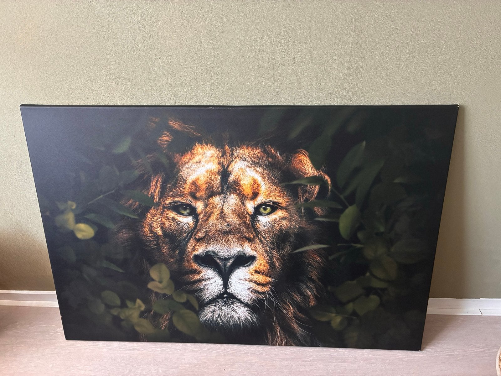 Leeuw Canvas Schilderij, Antiek en Kunst, Ophalen, Dieren, Print, Op houten frame