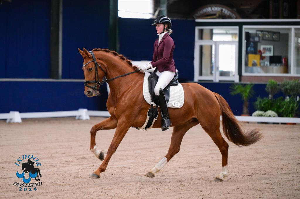 Super leuke merrie!, Dieren en Toebehoren, Paarden, Merrie, Z, Dressuurpaard, 7 tot 10 jaar