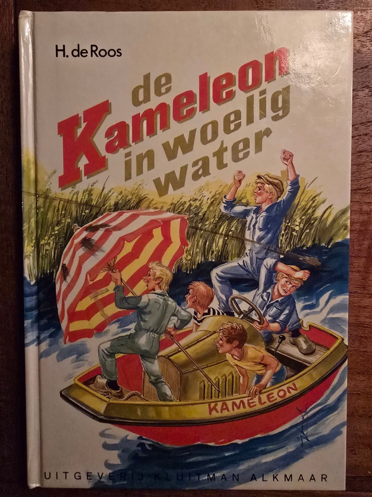 De Kameleon in Woelig Water - H. de Roos, Boeken, Ophalen of Verzenden, Gelezen, H. de Roos, Nederland