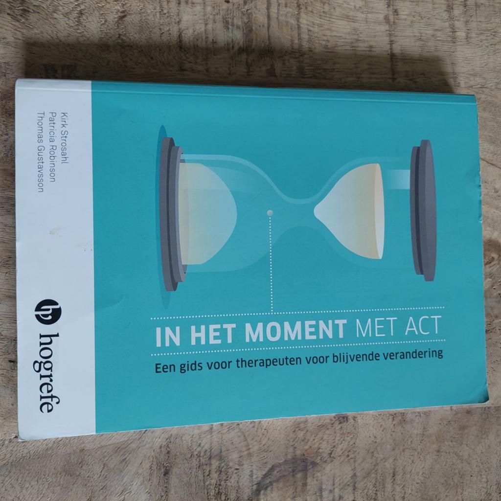 Kirk D. Strosahl - In het moment met ACT, Boeken, Psychologie, Kirk D. Strosahl; Thomas Gustavsson; Patricia J. Robinson, Ophalen of Verzenden