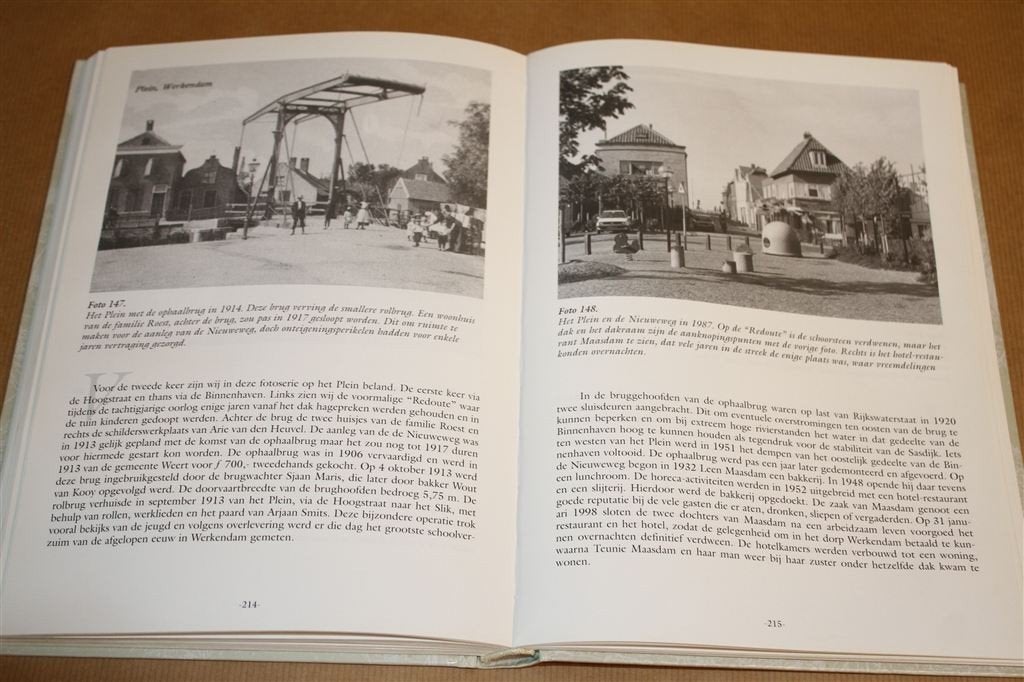 Werkendam. Geschiedenis van een Biesboschdorp [1900-1940]., Ophalen of Verzenden, Gelezen