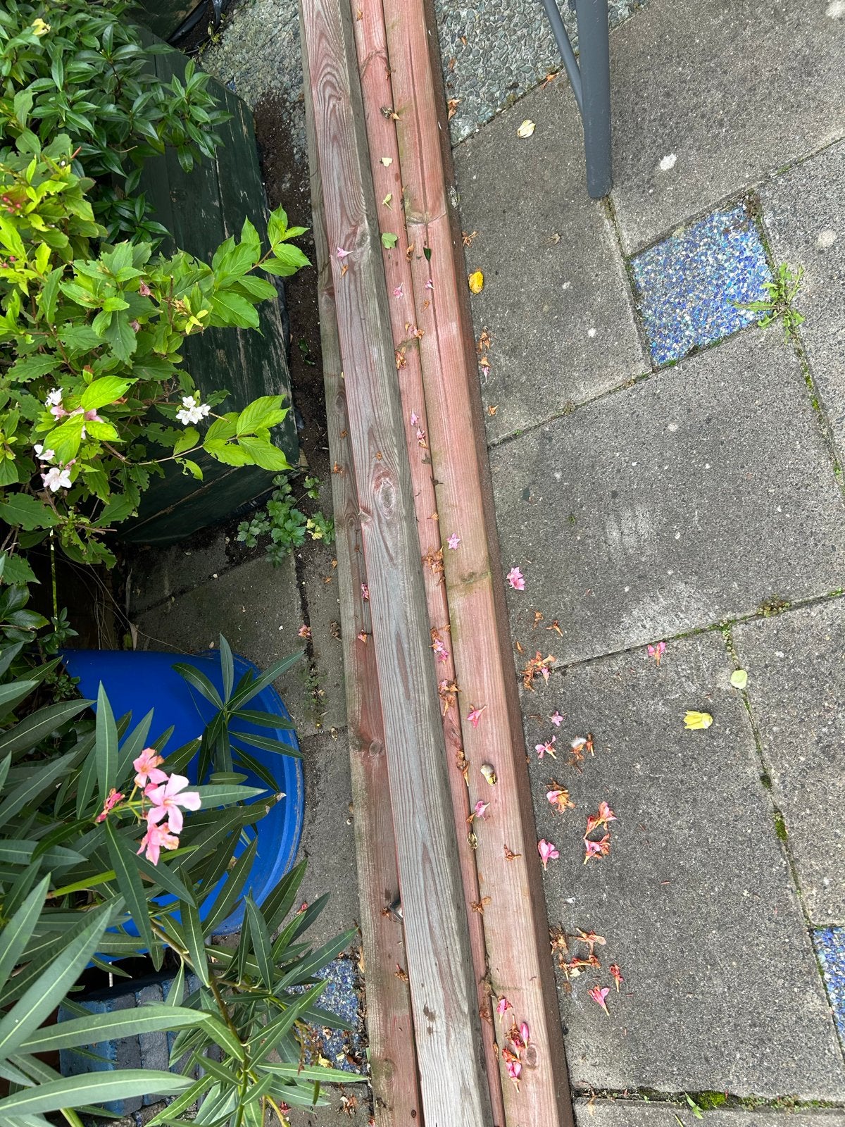 Gebruikte Tuinpalen - Diverse Lengtes, Tuin en Terras, Ophalen, Gebruikt, 180 tot 250 cm, Palen