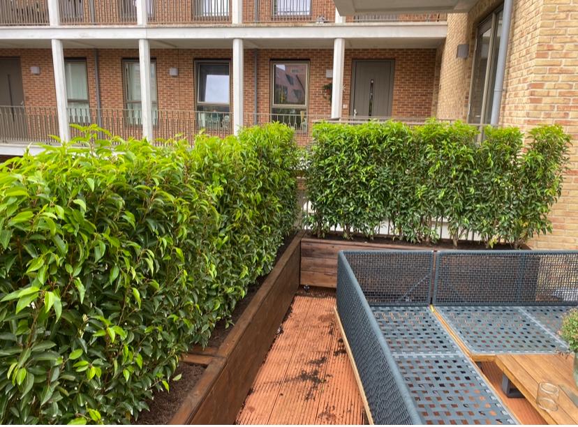 Plantenbakken op maat gemaakt inclusief groen blijvende haag, Ophalen of Verzenden, Zo goed als nieuw, Binnen, 60 cm of meer